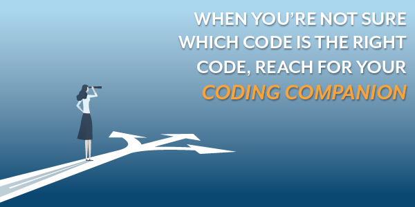 When you're not sure which path to choose, reach for your Coding Companion