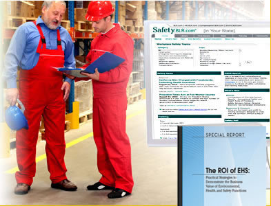 Complimentary Report - The ROI of EHS