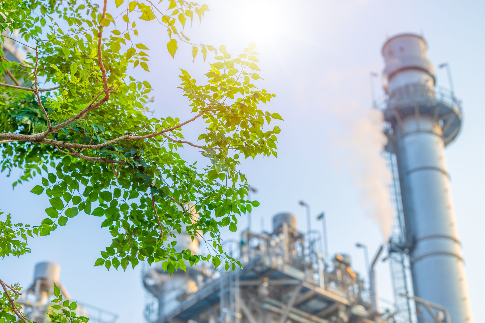 manufacturing facility with tree in foreground