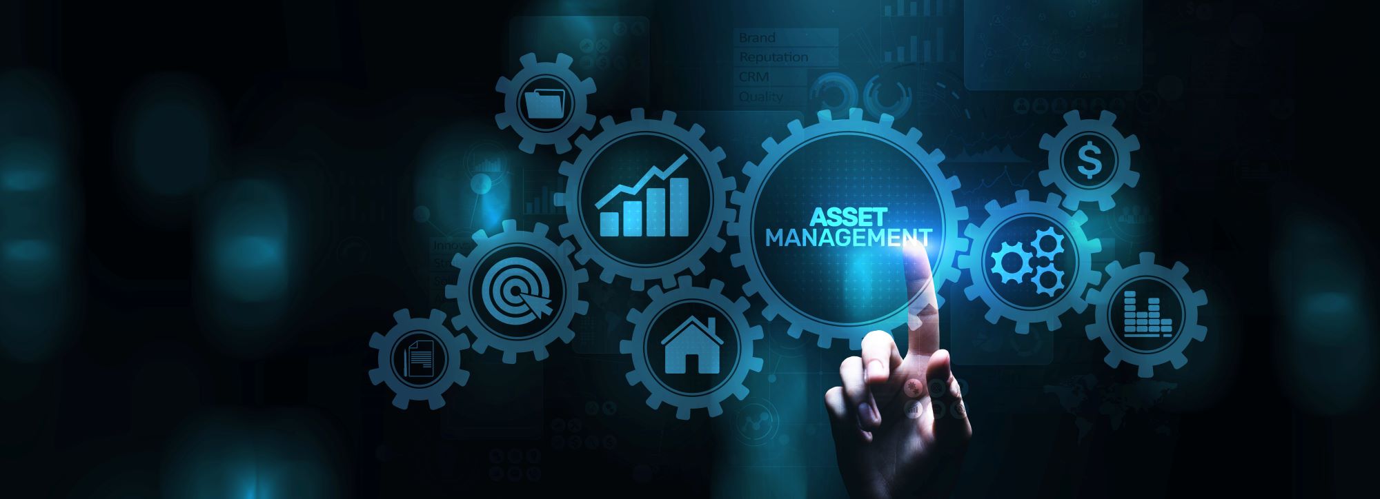 digital-asset-management