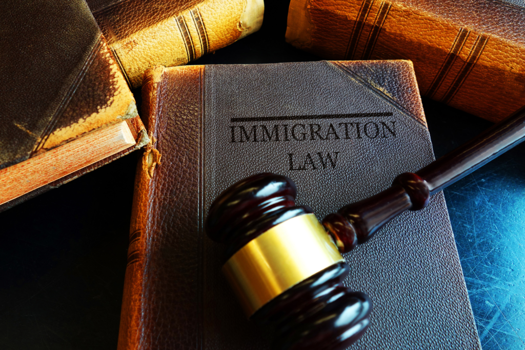 Book with "Immigration Law' written with a gavel laid on top